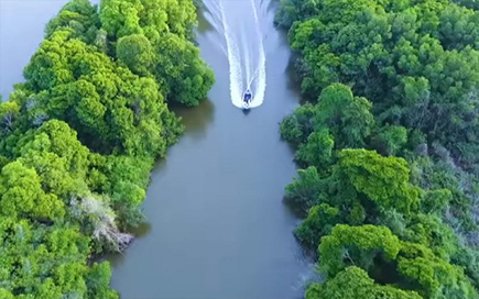 Muthurajawela Lagoon